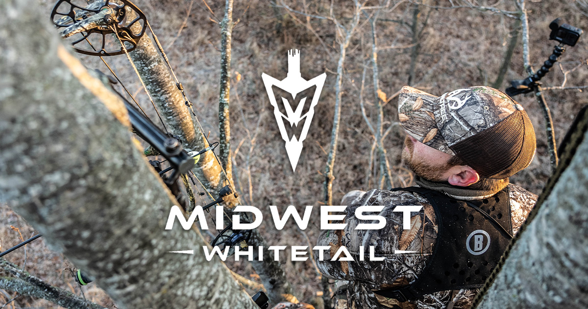 Midwest Whitetail